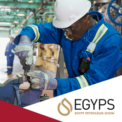 EGYPS Image miniature