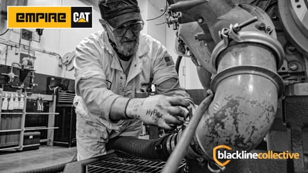 Empire Cat - Image collective Blackline