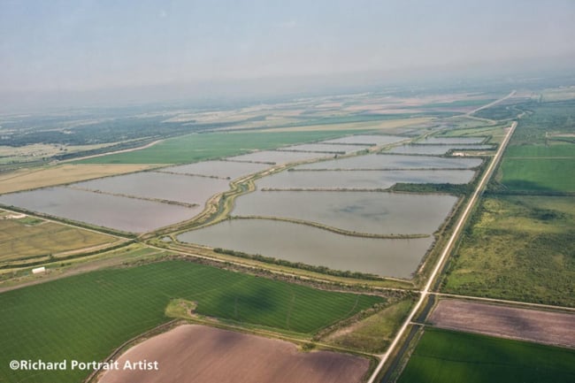 GCWA protège ses travailleurs isolés dans le secteur de l'eau à l'aide des dispositifs Blackline Safety.