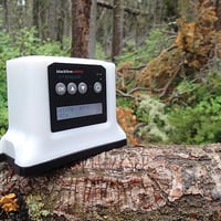 Pont G7 dans la nature sauvage