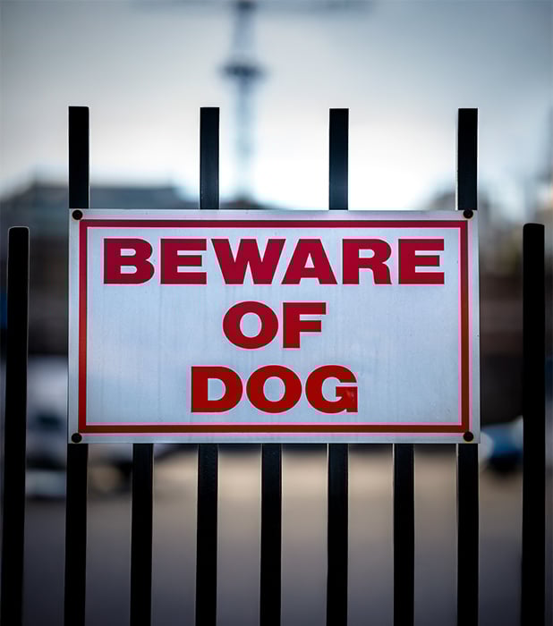 Sasha avait besoin d'aide alors qu'elle travaillait seule et était menacée par un client et son gros chien. Lisez son histoire.