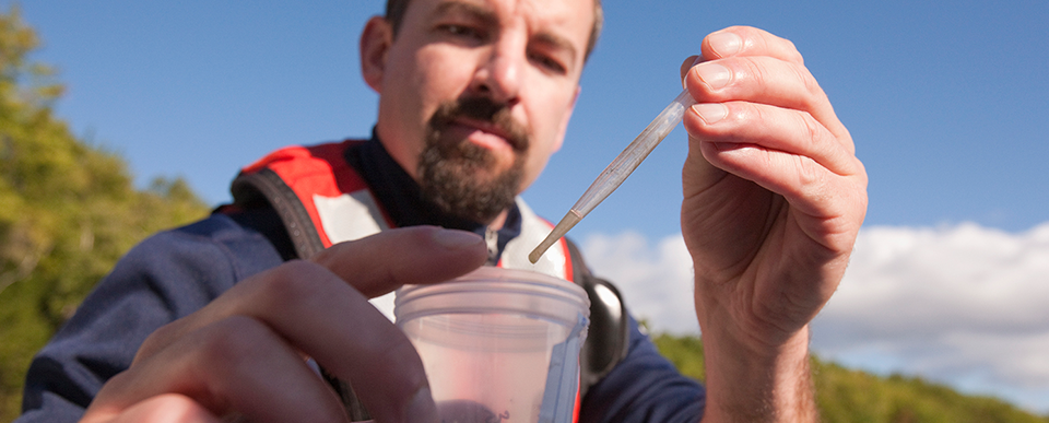 Images du blog -- environnement