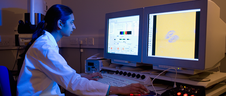 Images du blog -- labs3