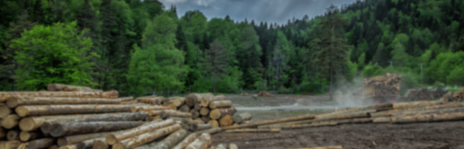 accueil-ressources-bannière