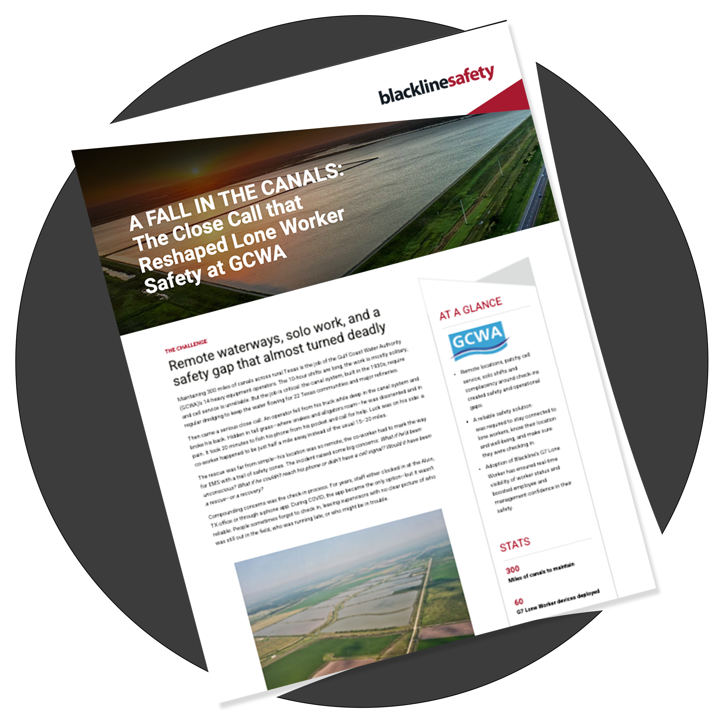 miniature du livre blanc